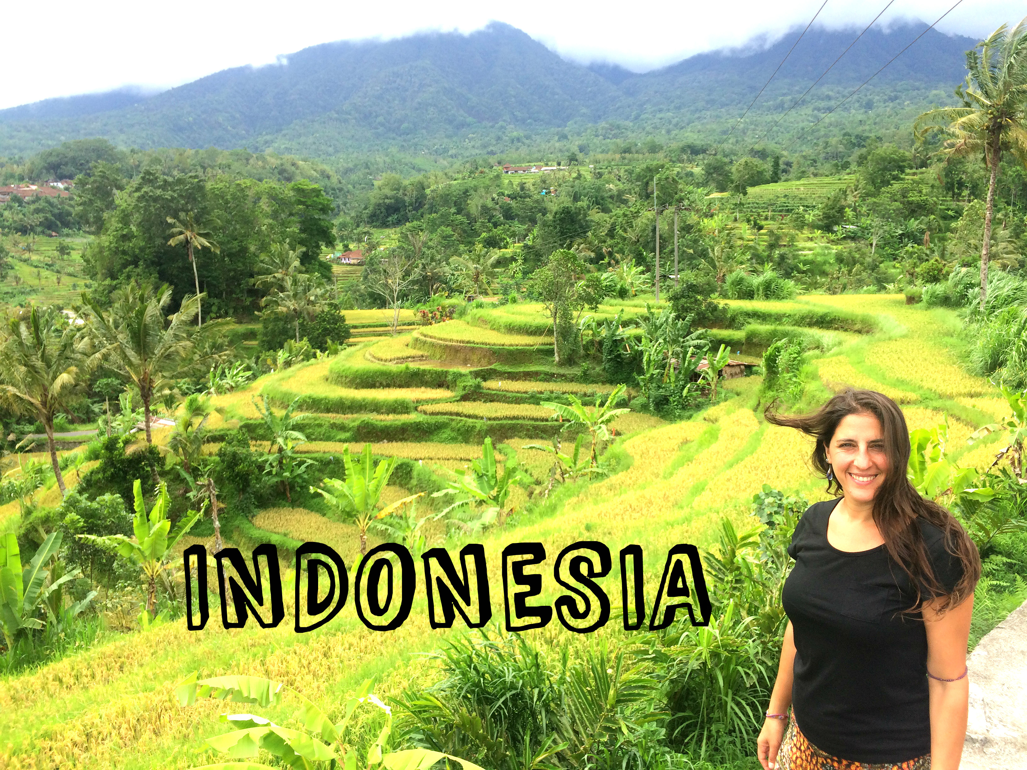 Bali campos de arroz
